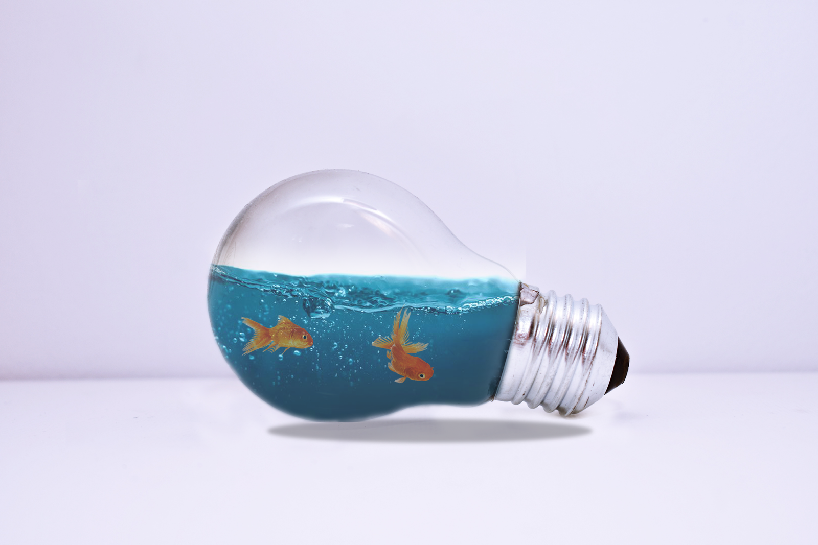 Fish-in-Bulb
